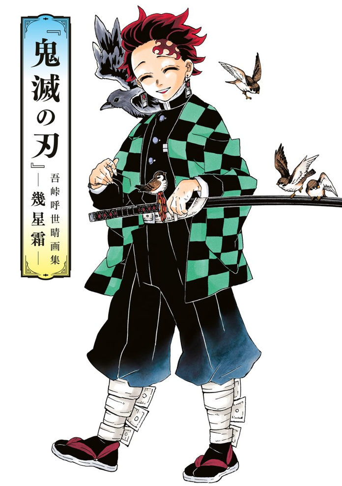 Demon Slayer: Kimetsu no Yaiba: Im Laufe der Jahre - Gesammelte Illustrationen von Koyoharu Gotouge Manga (New)