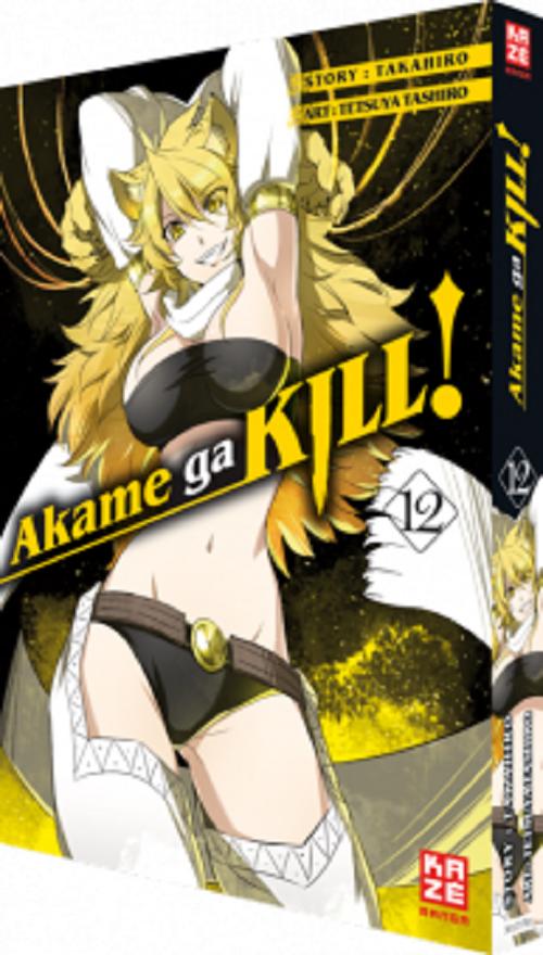 Akame ga KILL! 12 Manga (New)