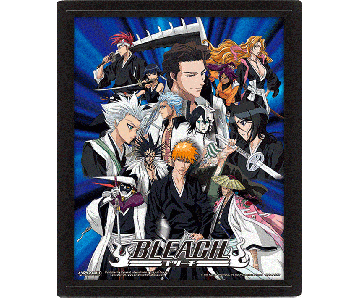 Bleach-Heroes-and-Villains-26x20-3D-Rahmenbild-1