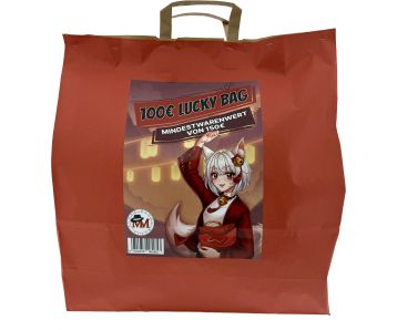 Fukubukuro-Lucky-Bag-mit-Waren-im-Wert-von-150-Euro-1