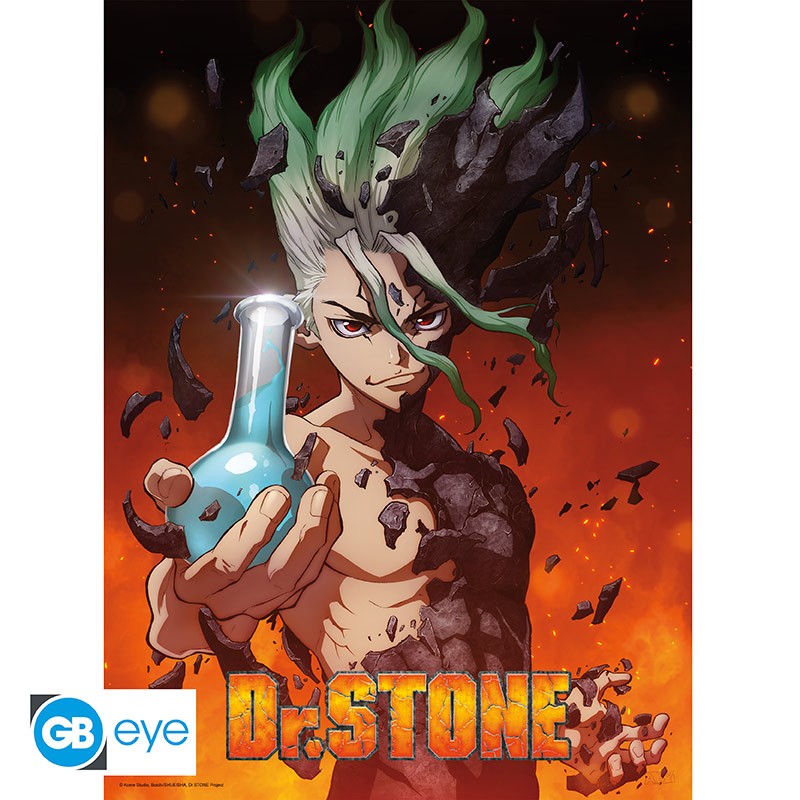 Dr. Stone - Senku - 52x38 Chibi-Poster