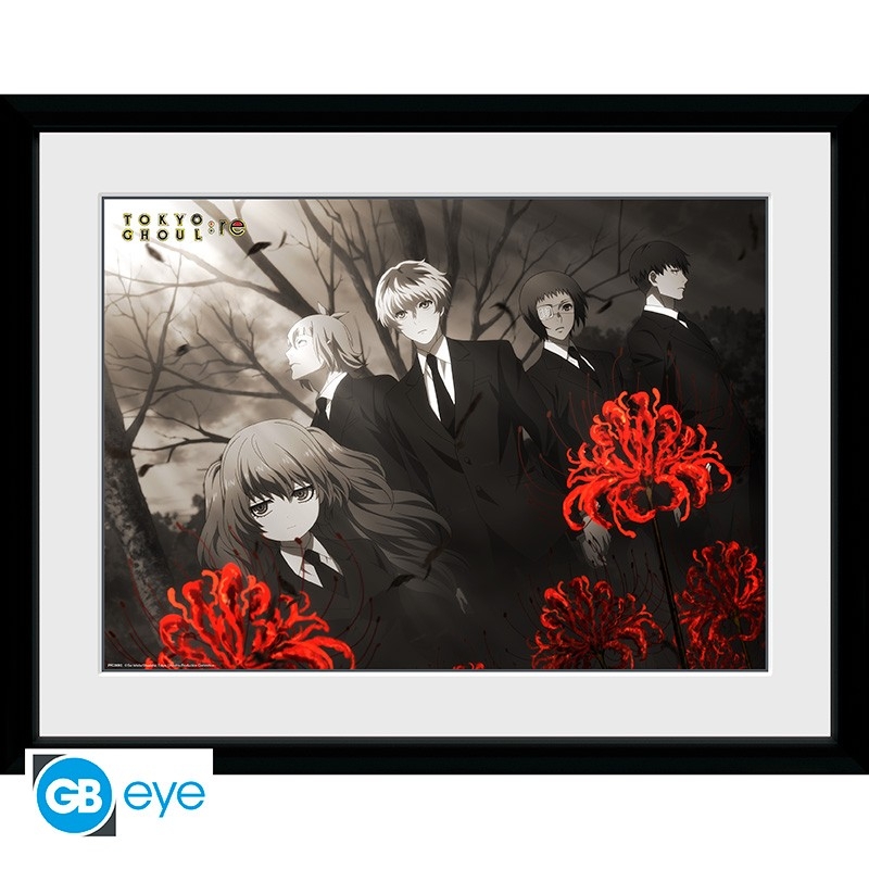 Tokyo Ghoul: RE - Red Flowers - 30x40 Rahmenbild